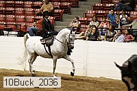 10buck_2036 proof