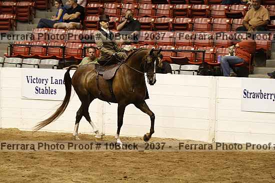 Proof 10buck_2037