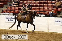 10buck_2037 proof