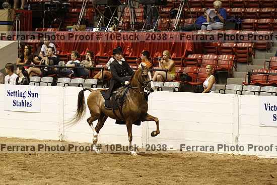Proof 10buck_2038