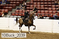 10buck_2039 proof