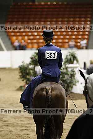 Proof 10buck_2041