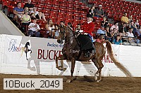 10buck_2049 proof