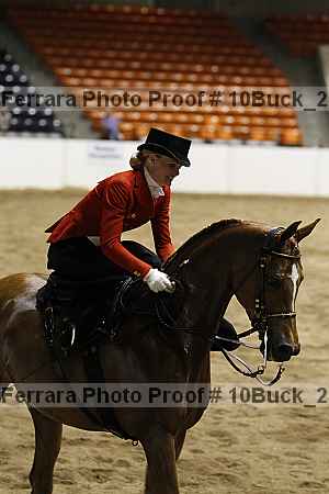 Proof 10buck_2054