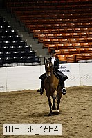 10buck_1564 proof