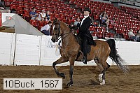 10buck_1567 proof