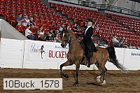 10buck_1578 proof