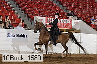 10buck_1580 proof