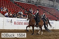 10buck_1584 proof