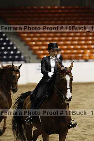 Proof 10buck_1585
