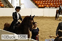 10buck_1586 proof