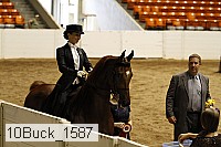 10buck_1587 proof