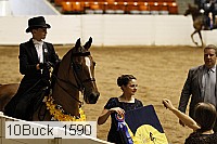 10buck_1590 proof