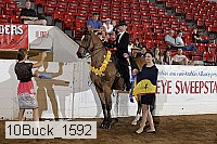 10buck_1592 proof