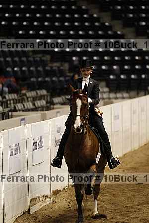 Proof 10buck_1595