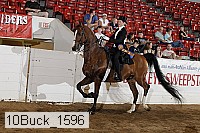 10buck_1596 proof