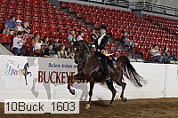 10buck_1603 proof