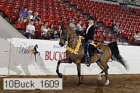 10buck_1609 proof