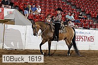 10buck_1619 proof