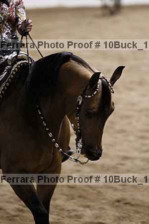 Proof 10buck_1625