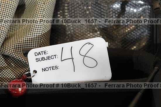 Proof 10buck_1657