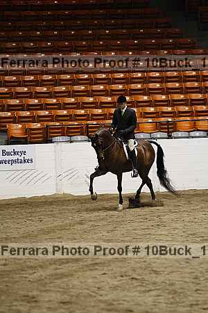 Proof 10buck_1661