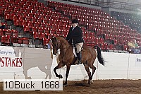 10buck_1668 proof