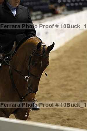 Proof 10buck_1669