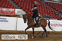 10buck_1675 proof