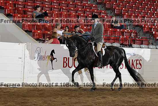 Proof 10buck_1683