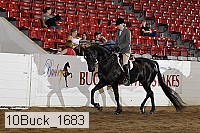 10buck_1683 proof