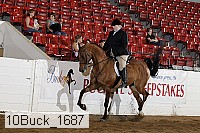 10buck_1687 proof