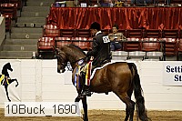 10buck_1690 proof