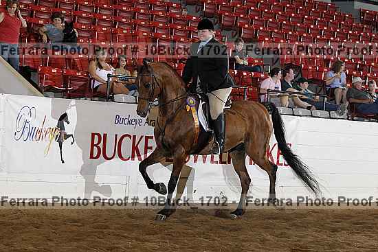 Proof 10buck_1702