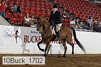 10buck_1702 proof