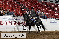 10buck_1704 proof