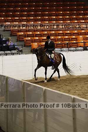 Proof 10buck_1706