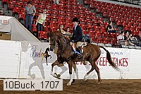 10buck_1707 proof