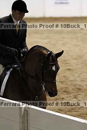 Proof 10buck_1709