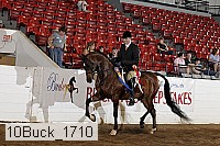 10buck_1710 proof