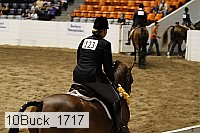 10buck_1717 proof