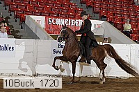 10buck_1720 proof