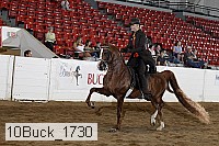 10buck_1730 proof