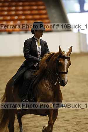 Proof 10buck_1734