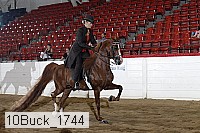 10buck_1744 proof