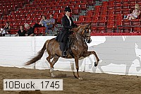 10buck_1745 proof