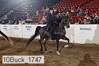 10buck_1747 proof