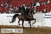 10buck_1748 proof