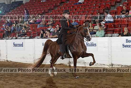 Proof 10buck_1749