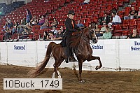 10buck_1749 proof